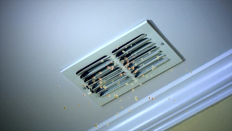 Home Air Vent Cleaning in Window Rock, AZ